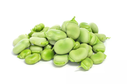 Broad Fava Beans Vegetable Seeds (20 seeds) - Basic Farm House