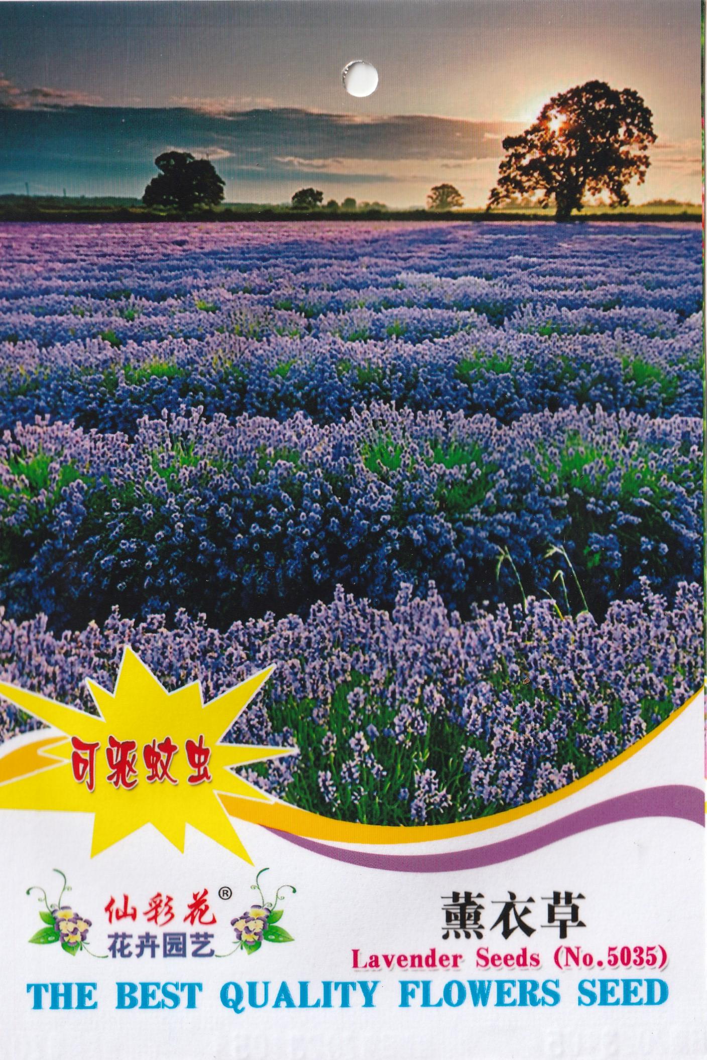 Lavender Mosquito Repellent Plants Seeds (75 seeds) - Basic Farm House