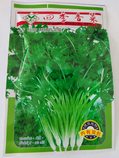 Italian Cilantro Big Leaf Herb Vegetable Seeds (1000 seeds) - Basic Farm House