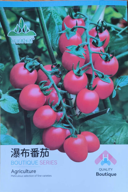 Premium Pack Cherry Millennial Tomato Vegetable Seeds ( 200 seeds ) - Basic Farm House