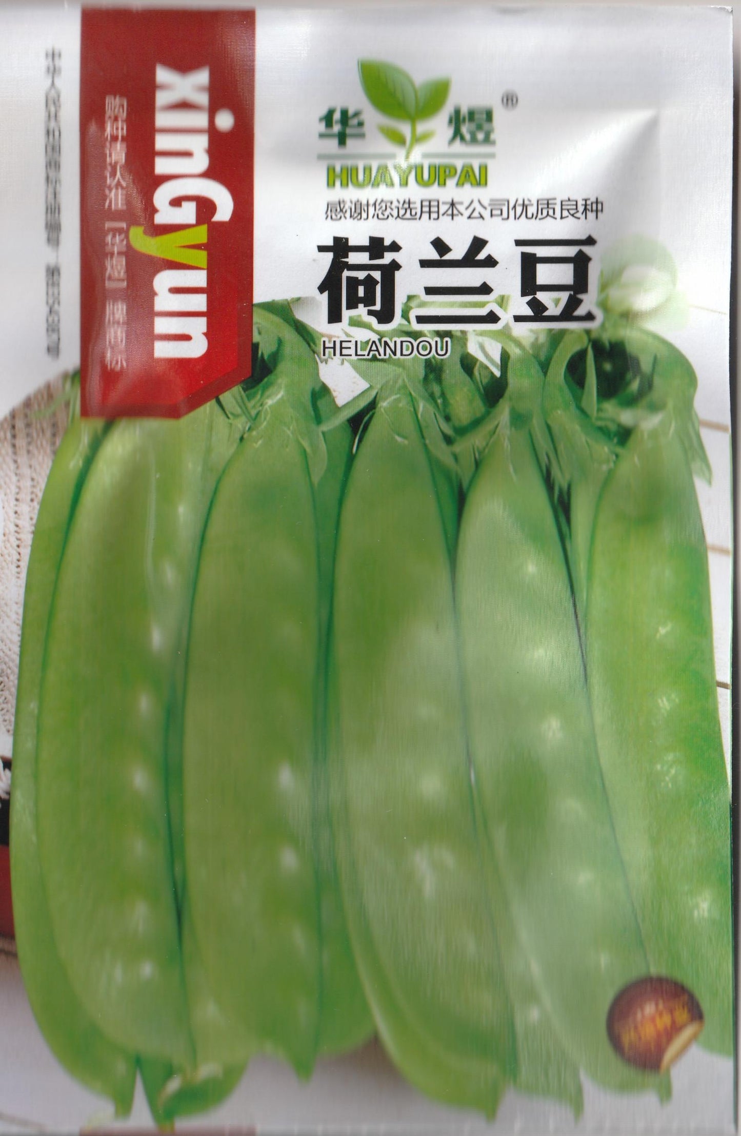 Chinese Big Variety Snow Pea Sitsaro Vegetable Seeds (30 seeds) - Basic Farm House